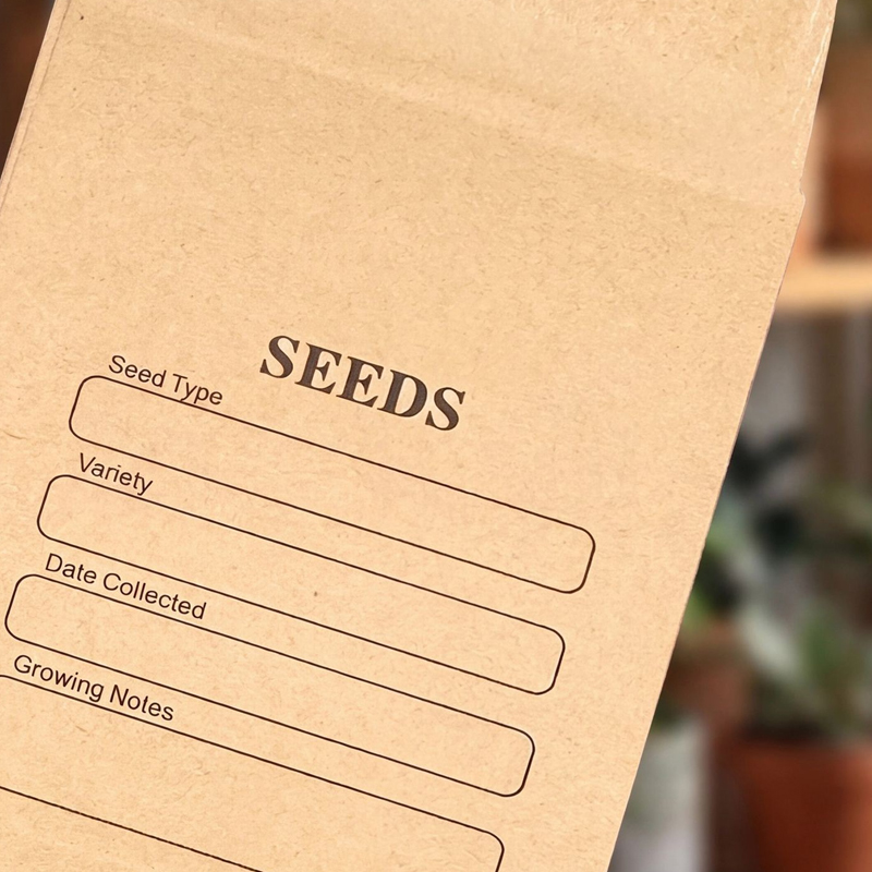 50 Stück Kraftpapier-Umschläge – Letter Envelope Kraft Bewertung und Preis